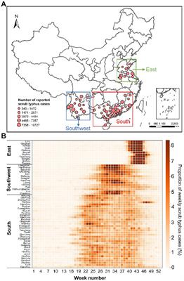 Impacts of meteorological factors on the risk of scrub typhus in China, from 2006 to 2020: A multicenter retrospective study